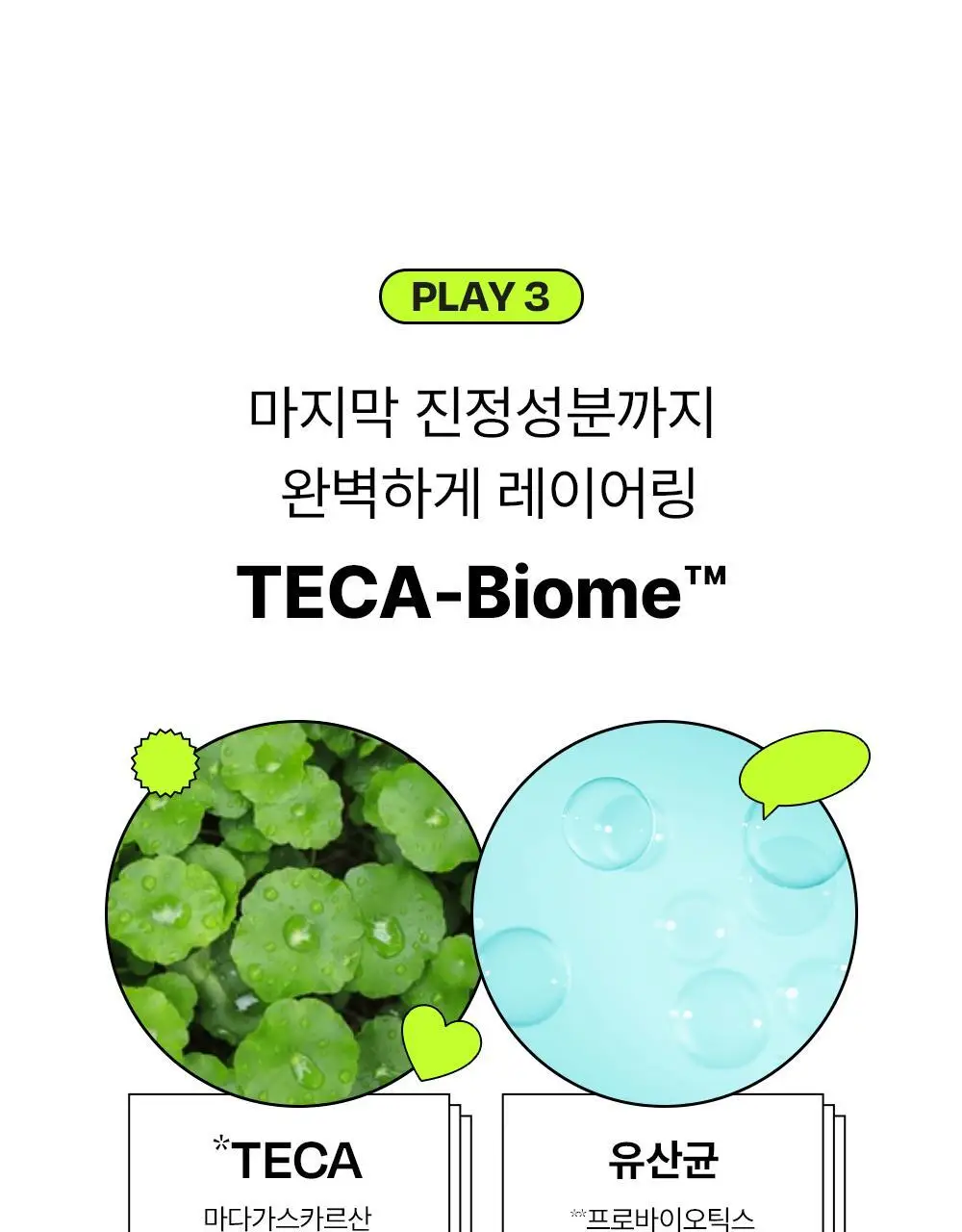 [붉은피부진정/속보습] 에딧비 진정 톡 시카 어성초 크림 100ml 상세페이지 14